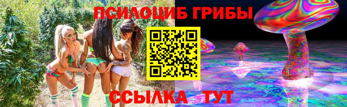 Минусинск  Галлюциногенные грибы прущие грибы  Вход с VPN 
