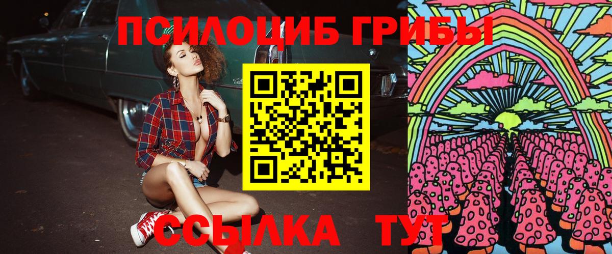Псилоцибиновые грибы мухоморы Минусинск